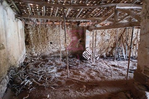 Erhvervsejendom i Bombarral, Leiria, Bombarral - € 37.500 | Ref: SFF195 - foto 5