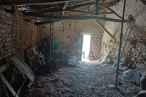 Erhvervsejendom i Bombarral, Leiria, Bombarral - € 37.500 | Ref: SFF195 - foto 6