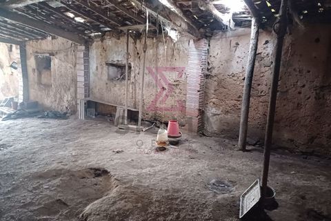 Erhvervsejendom i Bombarral, Leiria, Bombarral - € 37.500 | Ref: SFF195 - foto 7