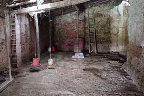 Erhvervsejendom i Bombarral, Leiria, Bombarral - € 37.500 | Ref: SFF195 - foto 8