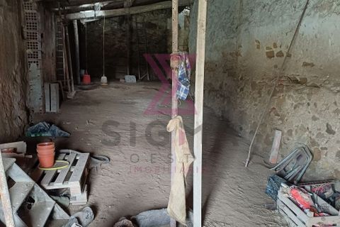 Erhvervsejendom i Bombarral, Leiria, Bombarral - € 37.500 | Ref: SFF195 - foto 9