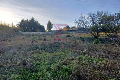 Helårsgrund i Bombarral, Leiria, Bombarral - € 140.000 | Ref: SFF215 - foto 1