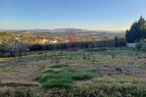 Helårsgrund i Bombarral, Leiria, Bombarral - € 140.000 | Ref: SFF215 - foto 2
