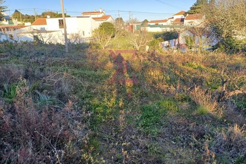 Helårsgrund i Bombarral, Leiria, Bombarral - € 140.000 | Ref: SFF215 - foto 3