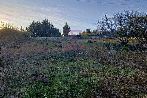 Helårsgrund i Bombarral, Leiria, Bombarral - € 140.000 | Ref: SFF215 - foto 4