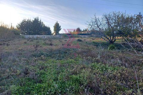 Helårsgrund i Bombarral, Leiria, Bombarral - € 140.000 | Ref: SFF215 - foto 5