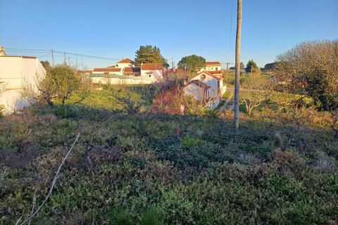 Helårsgrund i Bombarral, Leiria, Bombarral - € 140.000 | Ref: SFF215 - foto 7