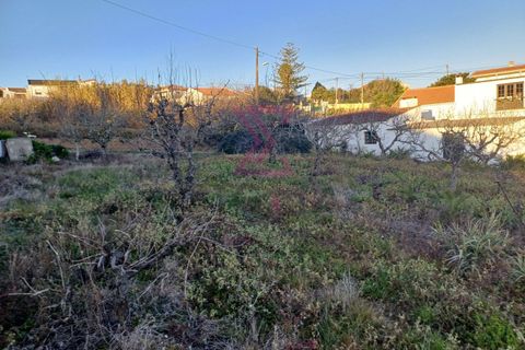Helårsgrund i Bombarral, Leiria, Bombarral - € 140.000 | Ref: SFF215 - foto 8