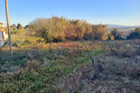 Helårsgrund i Bombarral, Leiria, Bombarral - € 140.000 | Ref: SFF215 - foto 9