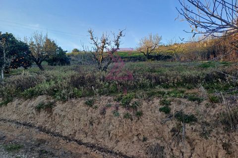 Helårsgrund i Bombarral, Leiria, Bombarral - € 140.000 | Ref: SFF215 - foto 10