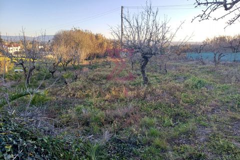 Helårsgrund i Bombarral, Leiria, Bombarral - € 140.000 | Ref: SFF215 - foto 11