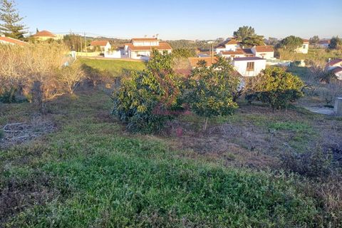 Helårsgrund i Bombarral, Leiria, Bombarral - € 140.000 | Ref: SFF215 - foto 12