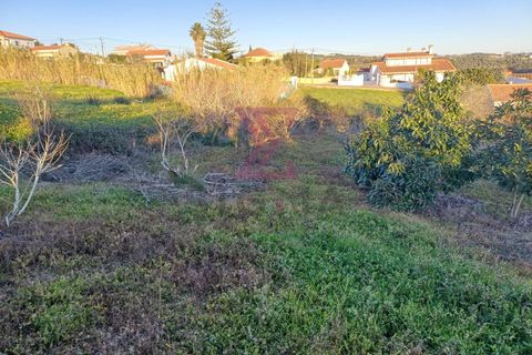 Helårsgrund i Bombarral, Leiria, Bombarral - € 140.000 | Ref: SFF215 - foto 13