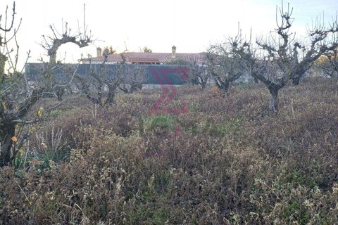 Helårsgrund i Bombarral, Leiria, Bombarral - € 140.000 | Ref: SFF215 - foto 15