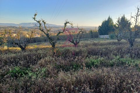 Helårsgrund i Bombarral, Leiria, Bombarral - € 140.000 | Ref: SFF215 - foto 16