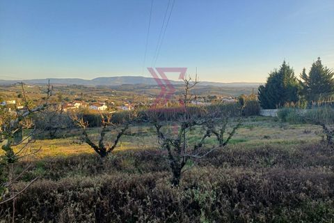 Helårsgrund i Bombarral, Leiria, Bombarral - € 140.000 | Ref: SFF215 - foto 18