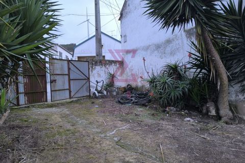 Landejendom i Bombarral, Leiria, Bombarral - € 265.000 | Ref: SRD224 - foto 1