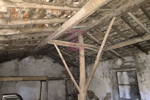 Landejendom i Bombarral, Leiria, Bombarral - € 265.000 | Ref: SRD224 - foto 2