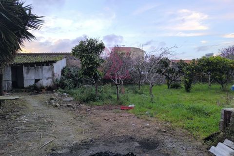 Landejendom i Bombarral, Leiria, Bombarral - € 265.000 | Ref: SRD224 - foto 3