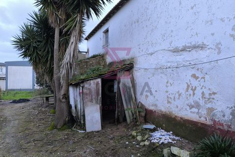 Landejendom i Bombarral, Leiria, Bombarral - € 265.000 | Ref: SRD224 - foto 6