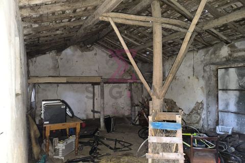 Landejendom i Bombarral, Leiria, Bombarral - € 265.000 | Ref: SRD224 - foto 7