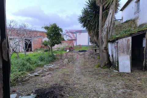 Landejendom i Bombarral, Leiria, Bombarral - € 265.000 | Ref: SRD224 - foto 8
