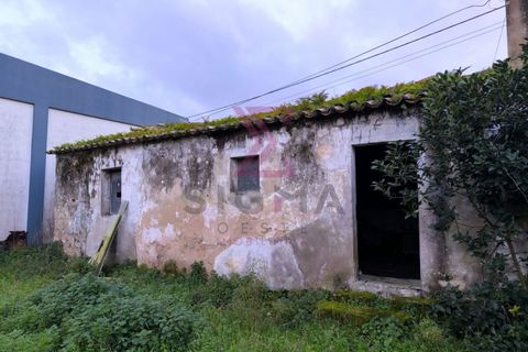 Landejendom i Bombarral, Leiria, Bombarral - € 265.000 | Ref: SRD224 - foto 13