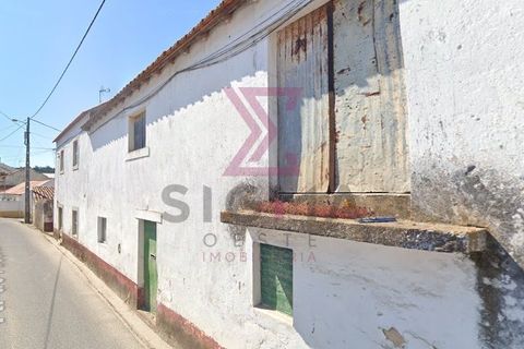 Landejendom i Bombarral, Leiria, Bombarral - € 265.000 | Ref: SRD224 - foto 17
