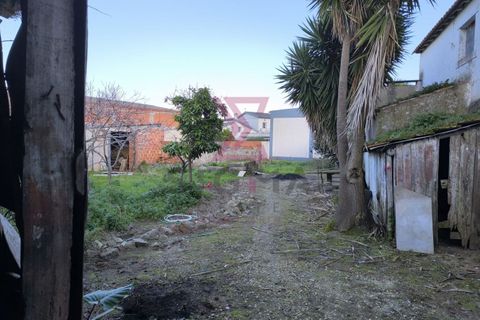 Landejendom i Bombarral, Leiria, Bombarral - € 265.000 | Ref: SRD224 - foto 18
