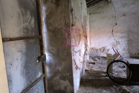Landejendom i Bombarral, Leiria, Bombarral - € 265.000 | Ref: SRD224 - foto 34