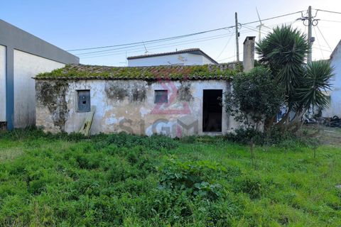 Landejendom i Bombarral, Leiria, Bombarral - € 265.000 | Ref: SRD224 - foto 37