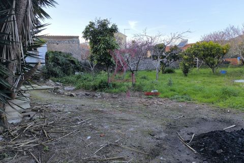 Landejendom i Bombarral, Leiria, Bombarral - € 265.000 | Ref: SRD224 - foto 38