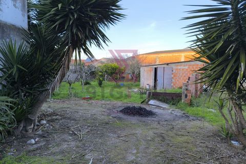 Landejendom i Bombarral, Leiria, Bombarral - € 265.000 | Ref: SRD224 - foto 40