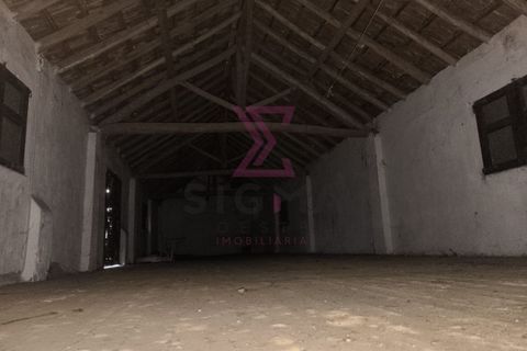 Landejendom i Bombarral, Leiria, Bombarral - € 265.000 | Ref: SRD224 - foto 43
