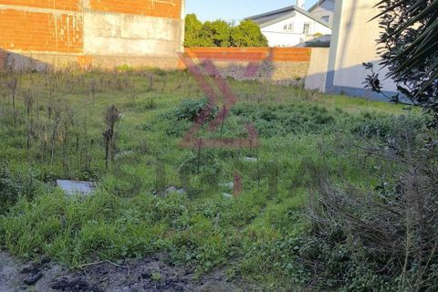 Landejendom i Bombarral, Leiria, Bombarral - € 265.000 | Ref: SRD224 - foto 44