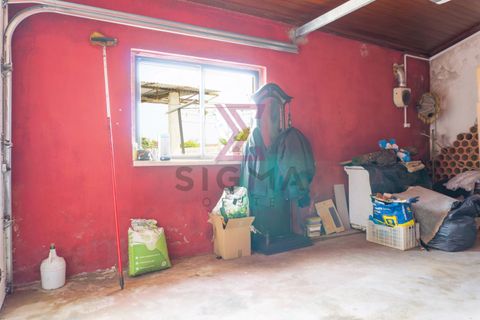 Villa i Bombarral, Leiria, Bombarral - € 350.000 | Ref: SRD244 - foto 45