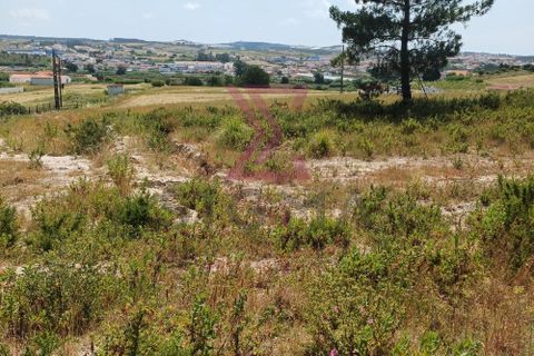 Helårsgrund i Torres Vedras, Lisbon, Torres Vedras - € 43.500 | Ref: SFF246 - foto 3