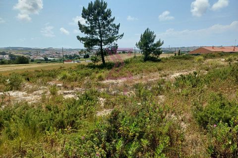 Helårsgrund i Torres Vedras, Lisbon, Torres Vedras - € 43.500 | Ref: SFF246 - foto 7