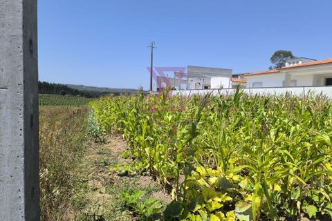 Helårsgrund i Bombarral, Leiria, Bombarral - € 57.500 | Ref: SRD250 - foto 2