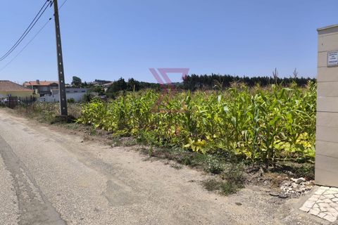 Helårsgrund i Bombarral, Leiria, Bombarral - € 57.500 | Ref: SRD250 - foto 3