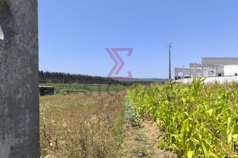 Helårsgrund i Bombarral, Leiria, Bombarral - € 57.500 | Ref: SRD250 - foto 4