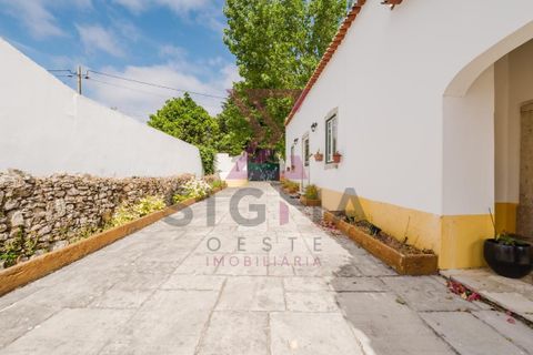 Masia a Bombarral, Leiria, Bombarral - € 797.000 | Ref: SPC251 - foto 44