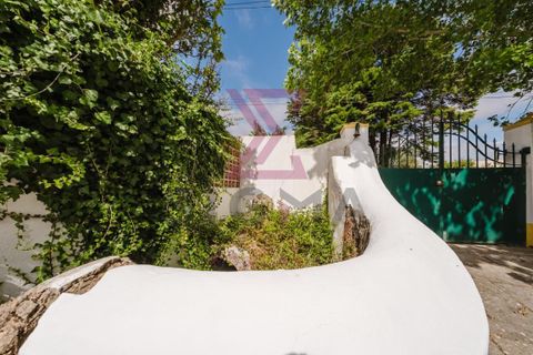 Masia a Bombarral, Leiria, Bombarral - € 797.000 | Ref: SPC251 - foto 46