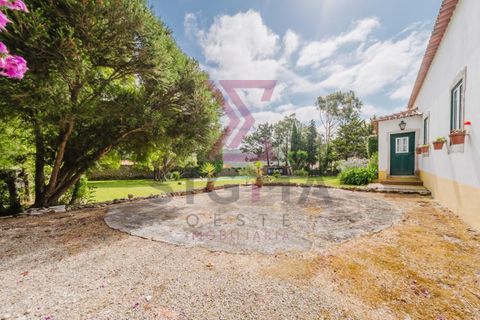 Masia a Bombarral, Leiria, Bombarral - € 797.000 | Ref: SPC251 - foto 48