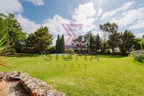 Masia a Bombarral, Leiria, Bombarral - € 797.000 | Ref: SPC251 - foto 49