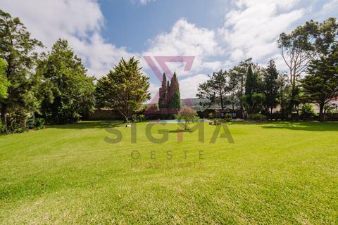 Masia a Bombarral, Leiria, Bombarral - € 797.000 | Ref: SPC251 - foto 50