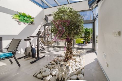 Villa i Bombarral, Leiria, Bombarral - € 750.000 | Ref: SRD254 - foto 7