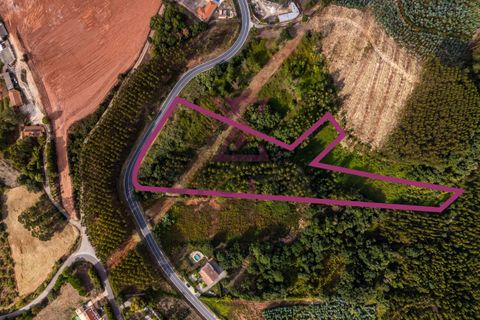Helårsgrund i Cadaval, Lisbon, Cadaval - € 35.000 | Ref: SRP264 - foto 1