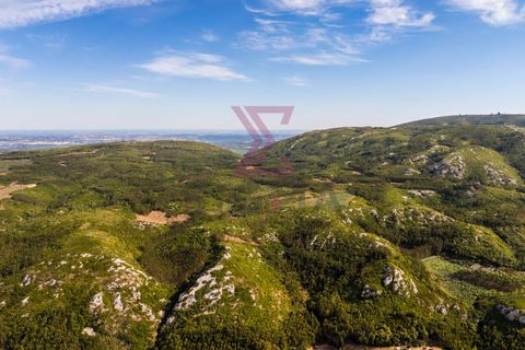 Helårsgrund i Cadaval, Lisbon, Cadaval - € 35.000 | Ref: SRP264 - foto 11