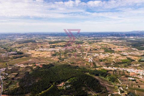Helårsgrund i Cadaval, Lisbon, Cadaval - € 35.000 | Ref: SRP264 - foto 14